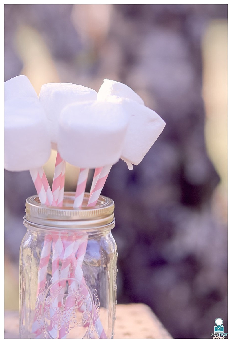 Pink Marshmallow Hot Chocolate Bar - MY 100 YEAR OLD HOME